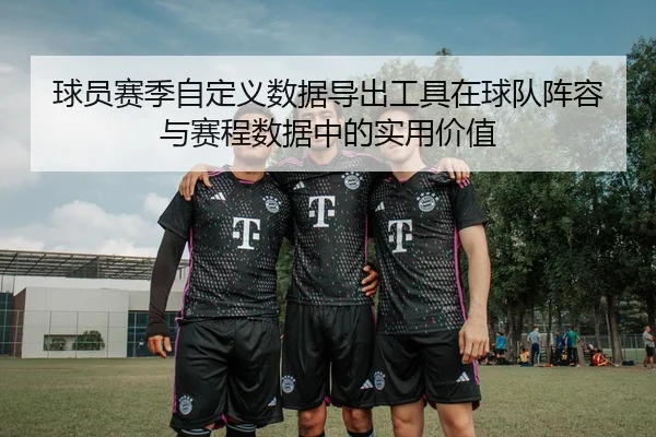 球员赛季自定义数据导出工具在球队阵容与赛程数据中的实用价值